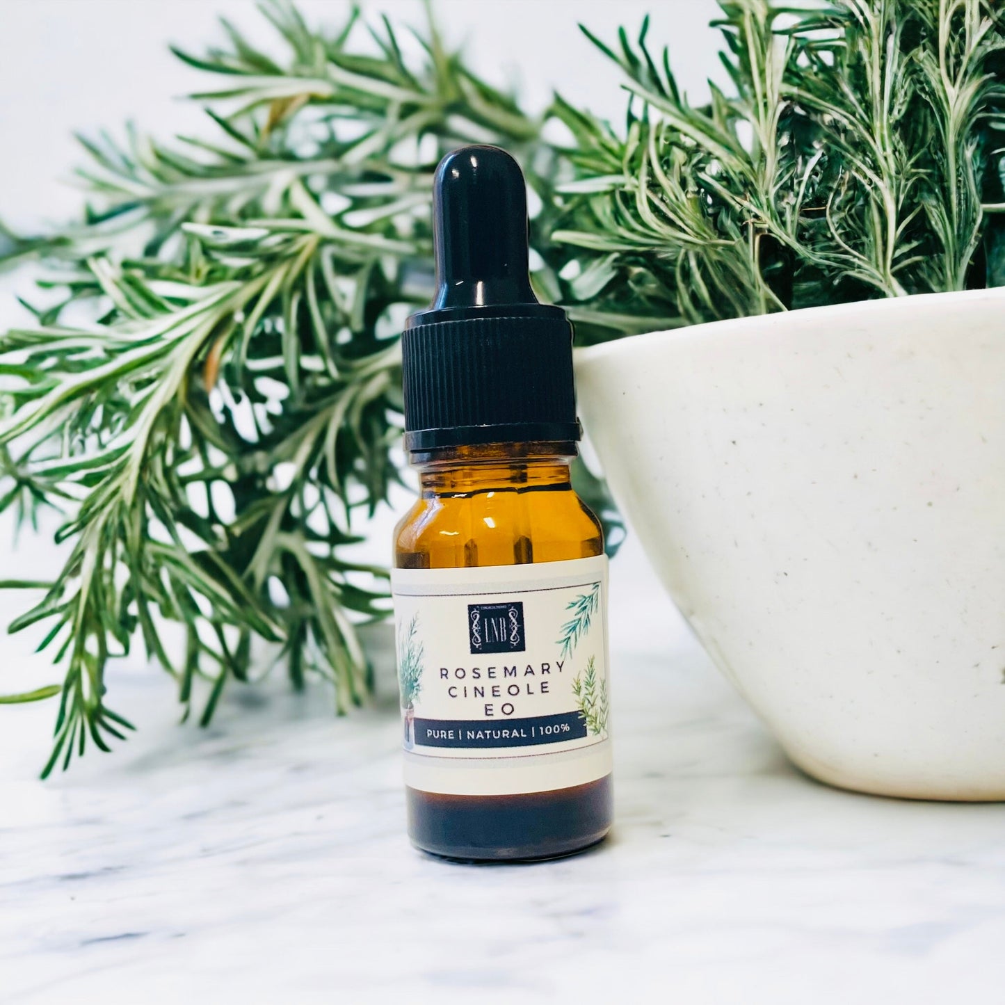 Focus — Rosemary Oil