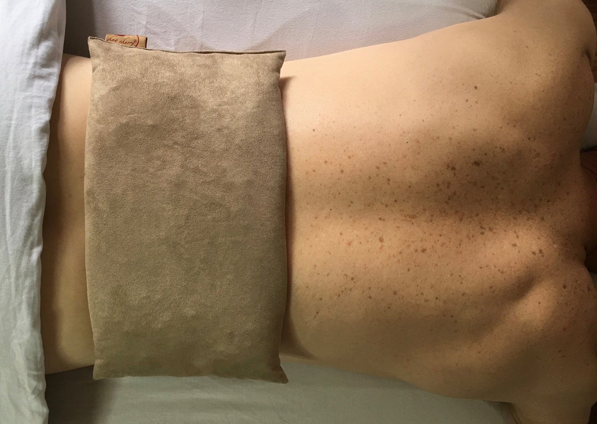 Large Rectangle Cherry Stone Pillow in Tan Ultra-Suede-3