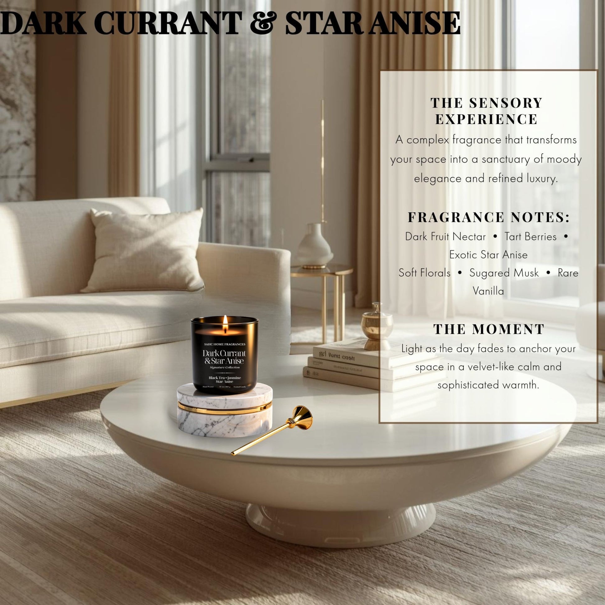 Dark Currant & Star Anise | Luxury Fragrance Candle-2